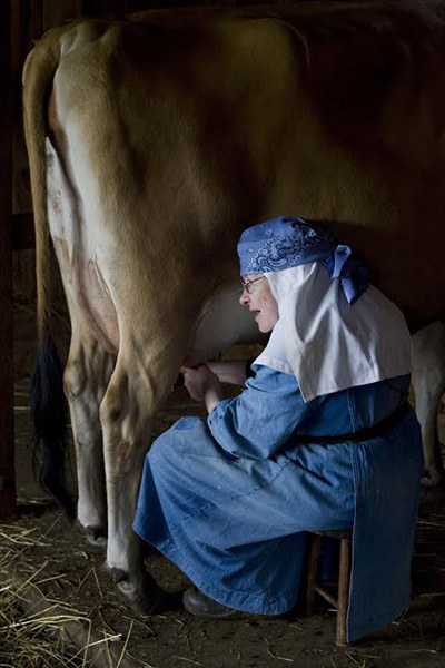 Mother Prioress milks a Jersey cow.