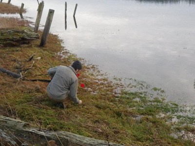 Land Bank steward Tim Clark checks a shoreline benchmark