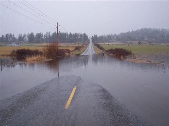 A stretch of Bailer Hill Road is submerged following heavy rains.