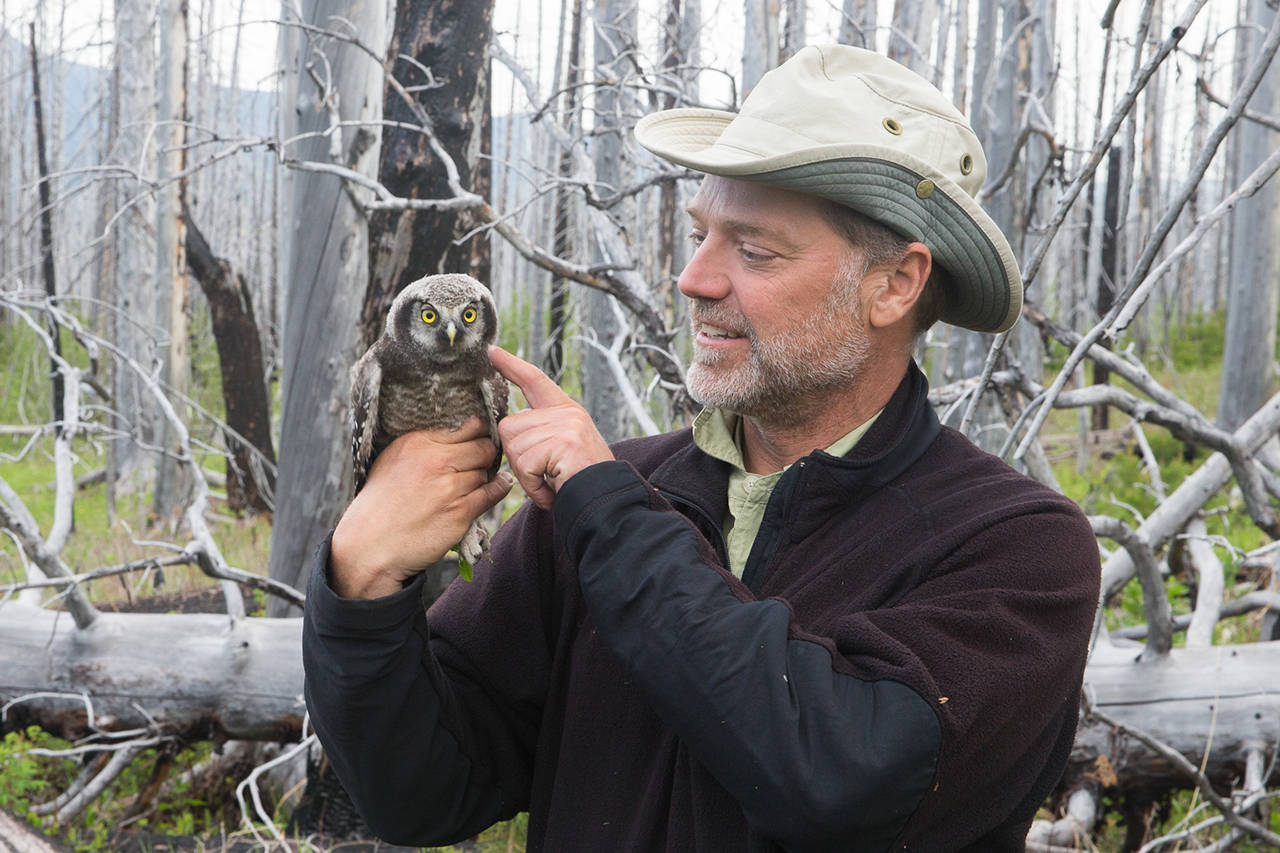 Wildlife photographer Paul Bannick visits Lopez - Islands' Weekly