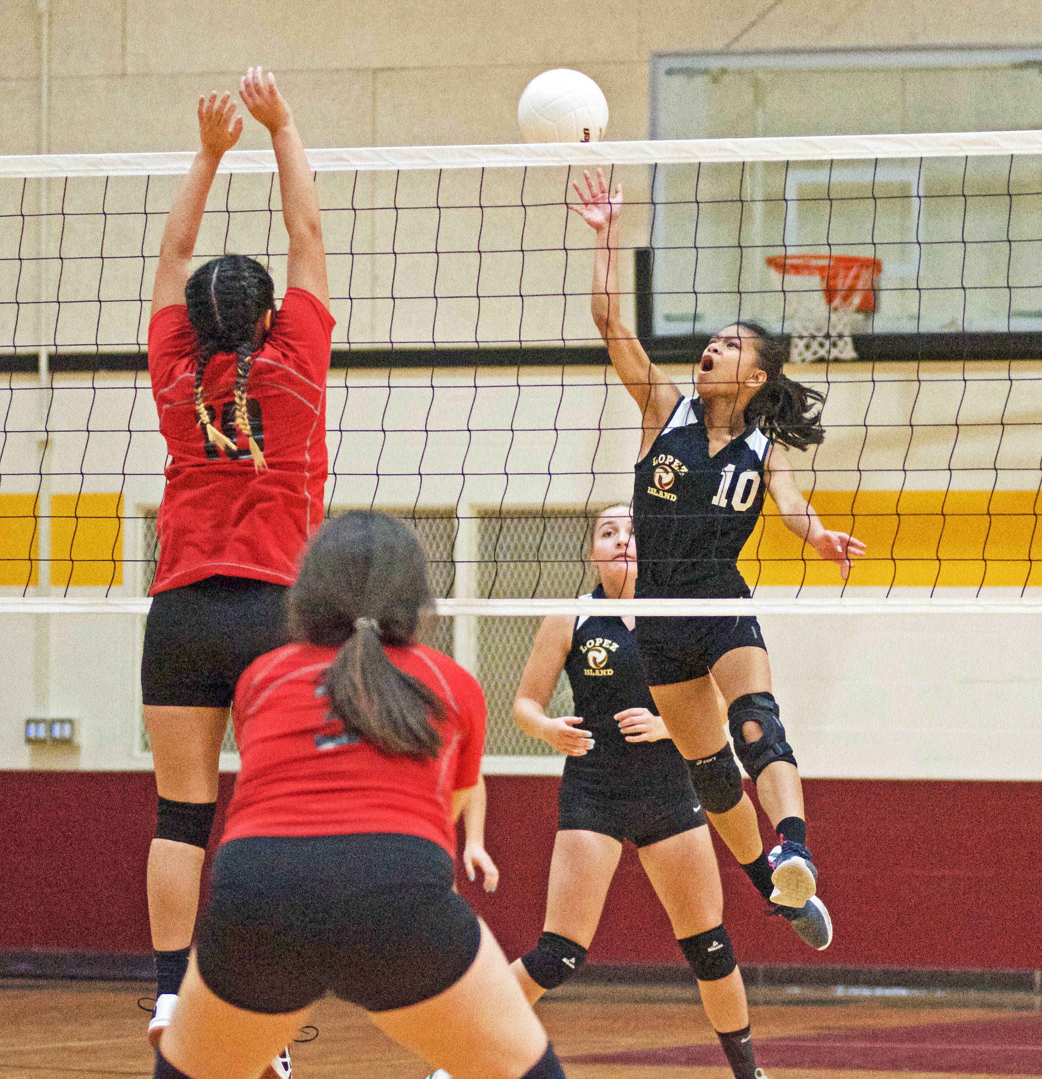 Lobos volleyball remains undefeated