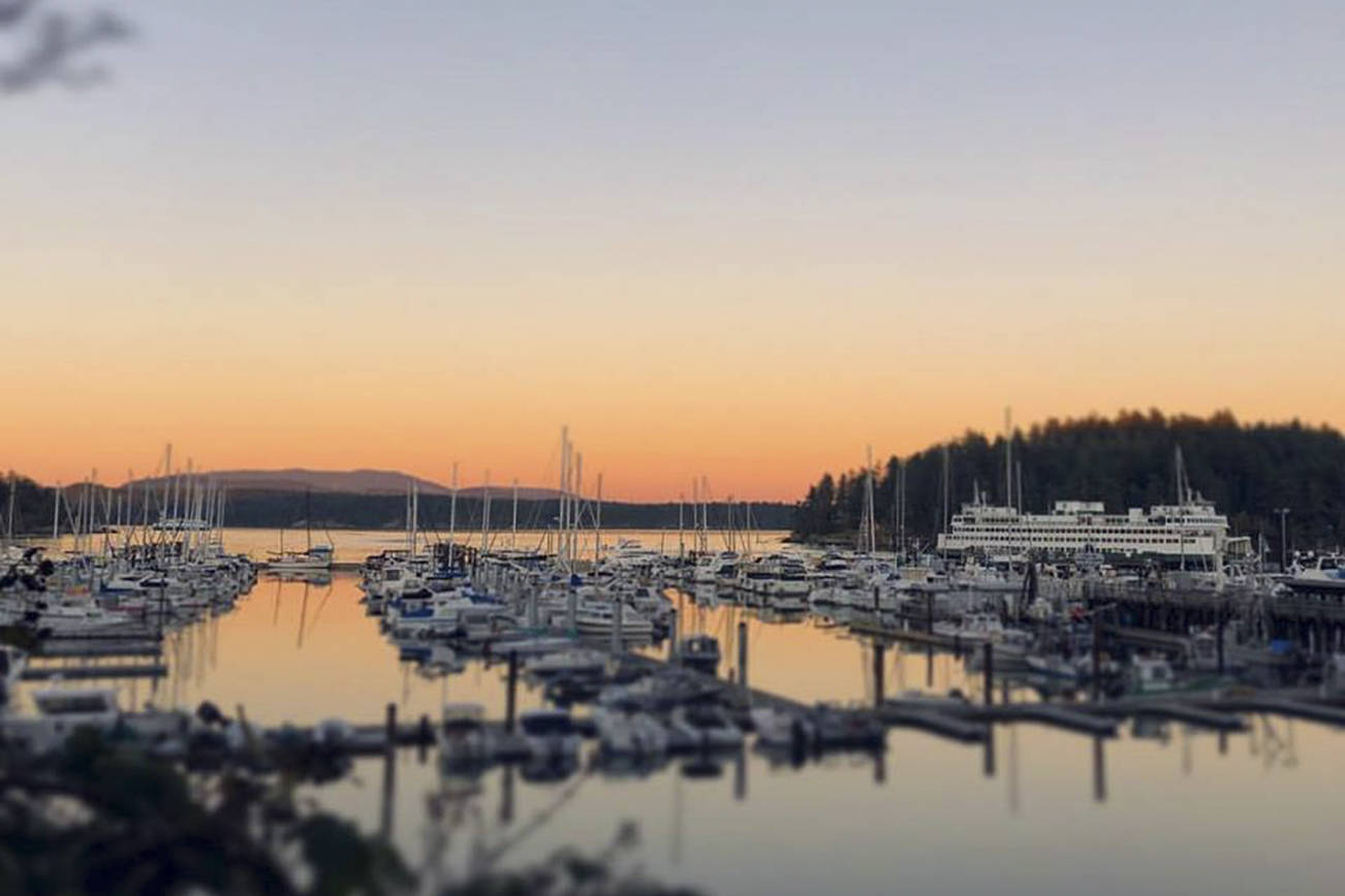 Friday Harbor Marina at sunset (Tate Thomson/staff photo)