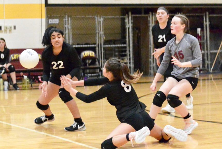 Lobos Volleyball on a roll | Islands' Weekly