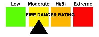 The fire danger rating in the San Juan County has been upgraded to moderate. (Citizen file)