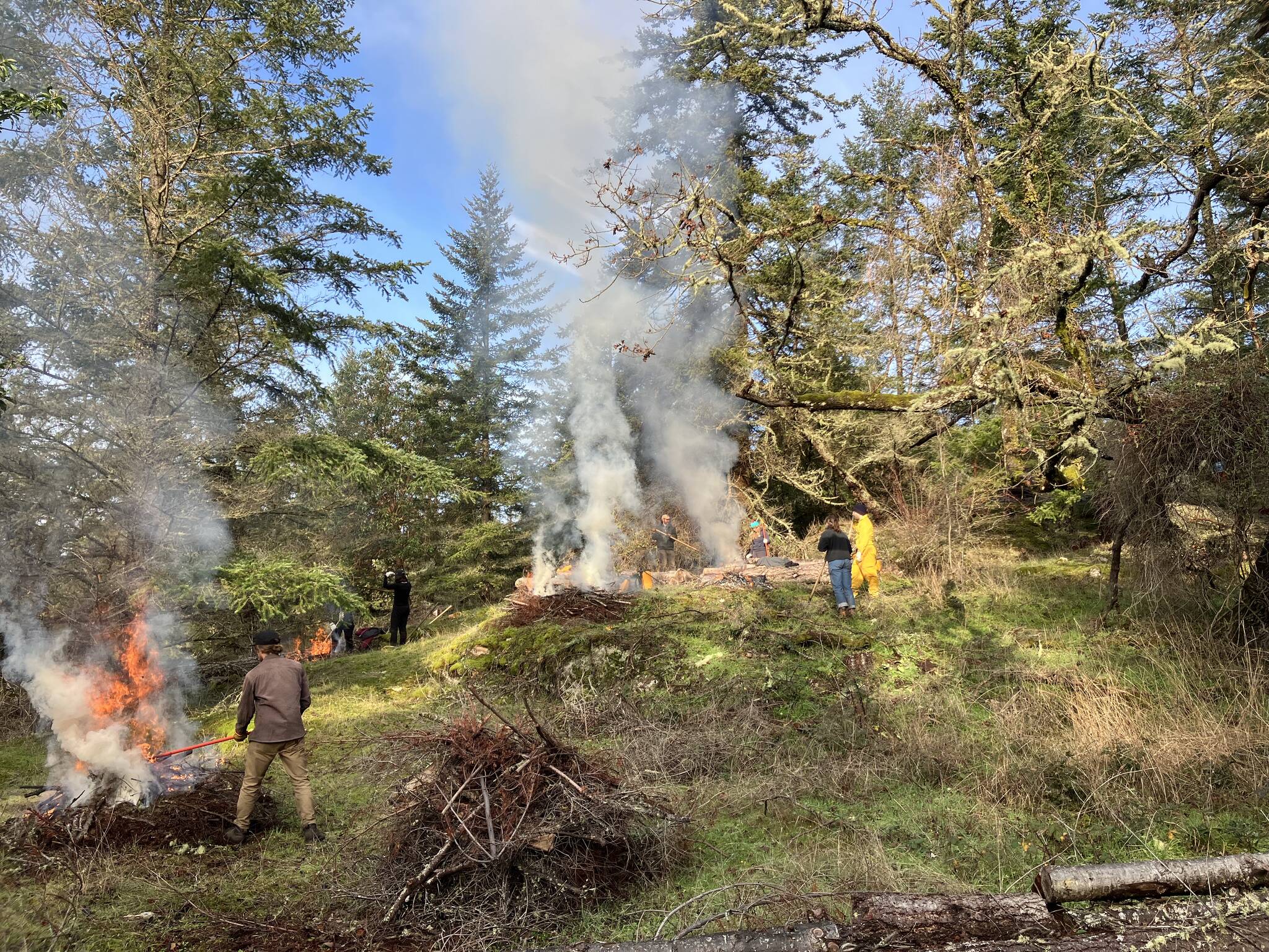 Islands Conservation Corps crew have converted over 400 brush piles to biochar, sequestering carbon dioxide and supporting growth of new native prairie species.