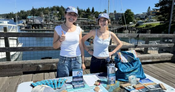 Contributed photo
To make it easier for boaters to be “Green,” Friends has created new educational signs with maps and data on eelgrass and herring habitats, whales, and handy resources for boaters. These signs are being installed at marine parks, docks, and marinas across the islands.