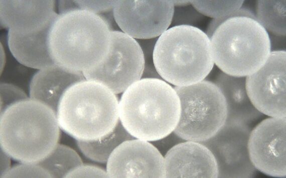 Contributed photo from Cospheric LLC, a U.S. manufacturer of industrial microparticles
Micron size polyethylene microspheres.